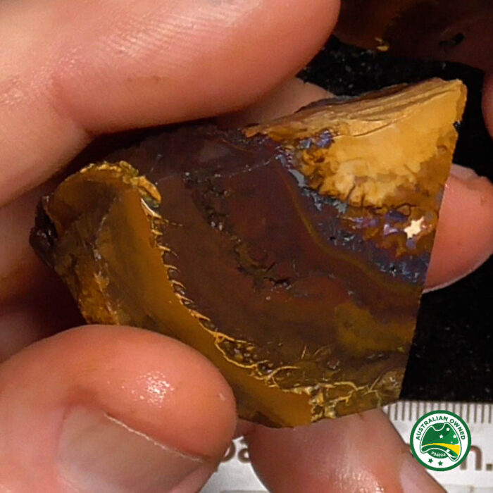 Queensland Koroit Boulder Rough Opal Parcel - Ro2360 - Image 7
