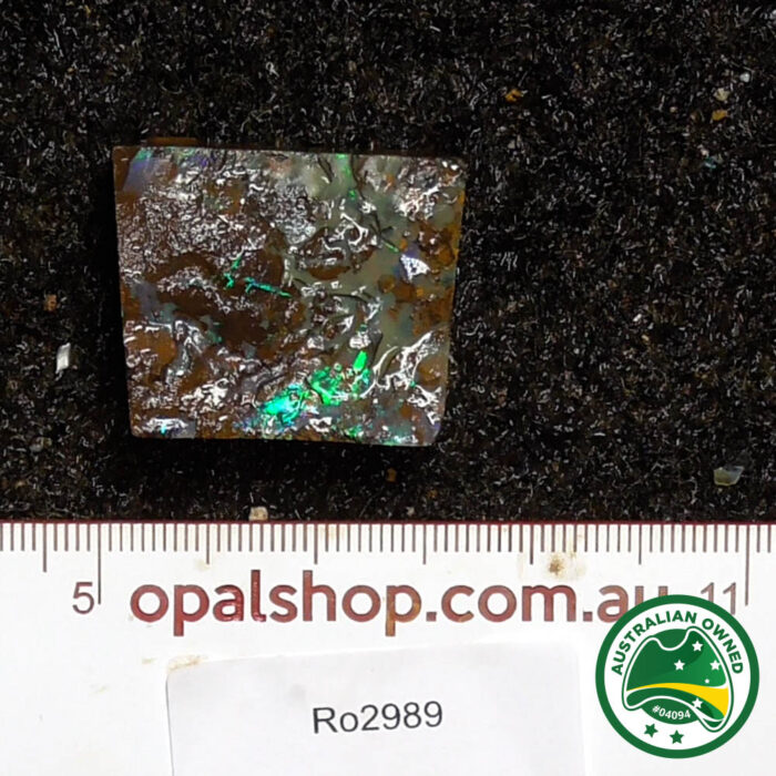 Boulder Opal Single Rough - Ro2989 - Image 2