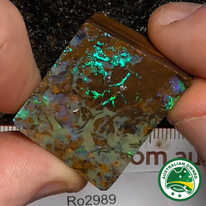 Boulder Opal Single Rough - Ro2989 - Image 11