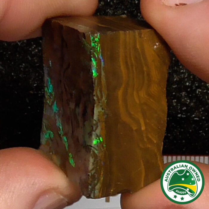 Boulder Opal Single Rough - Ro2989 - Image 10