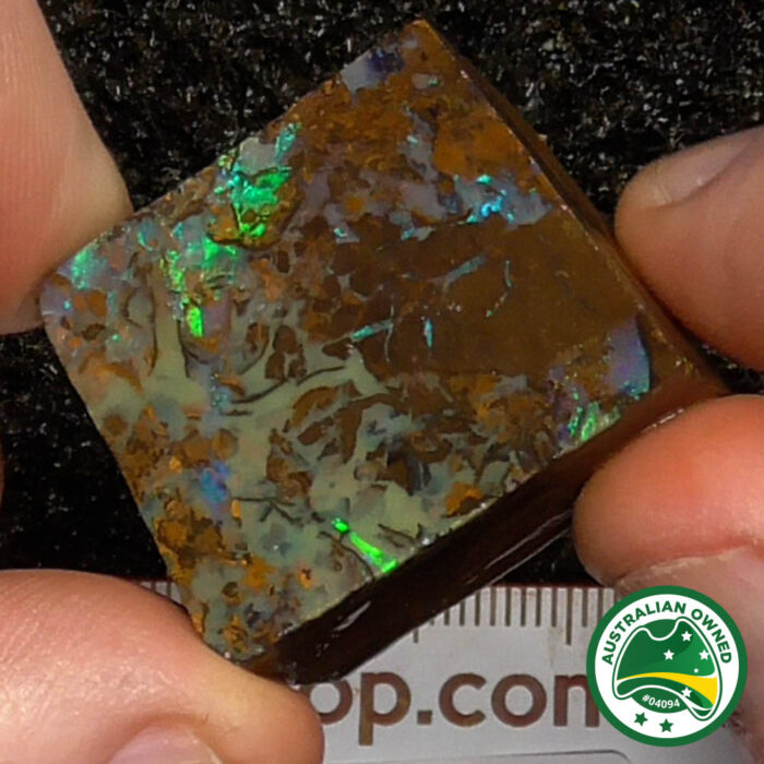 Boulder Opal Single Rough - Ro2989 - Image 9