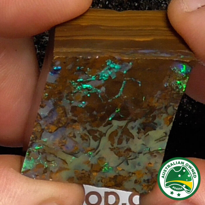 Boulder Opal Single Rough - Ro2989 - Image 8