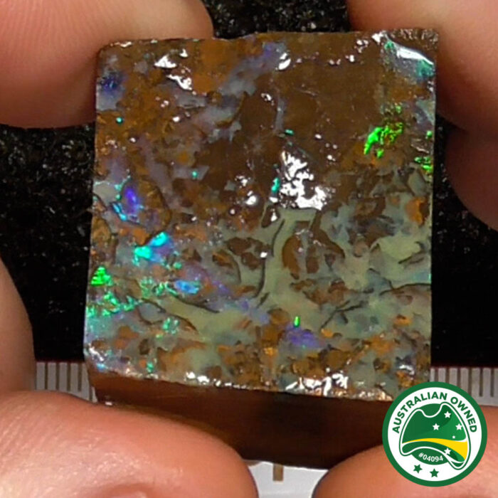 Boulder Opal Single Rough - Ro2989 - Image 6