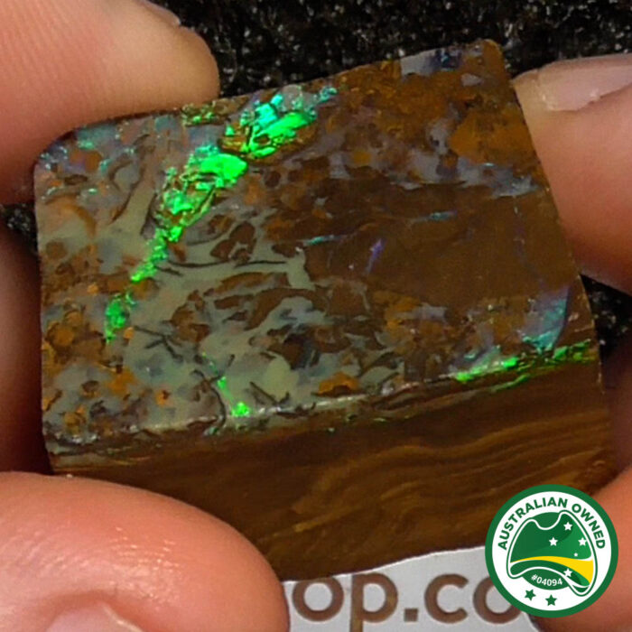 Boulder Opal Single Rough - Ro2989 - Image 5