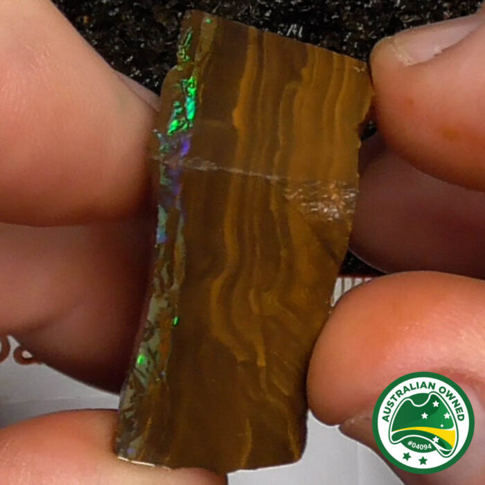 Boulder Opal Single Rough - Ro2989 - Image 4