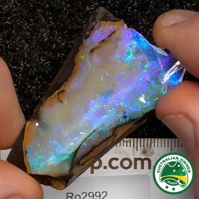 Boulder Opal Single Rough - Ro2992 - Image 10