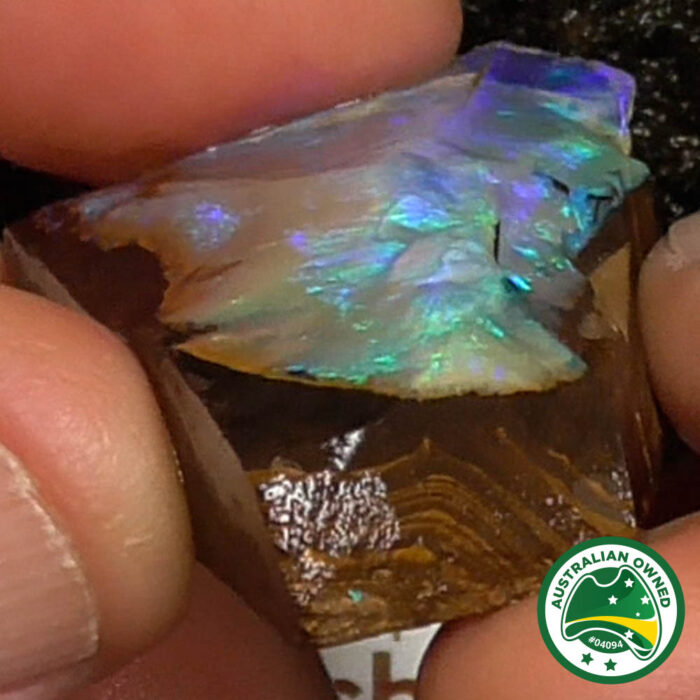 Boulder Opal Single Rough - Ro2992 - Image 6