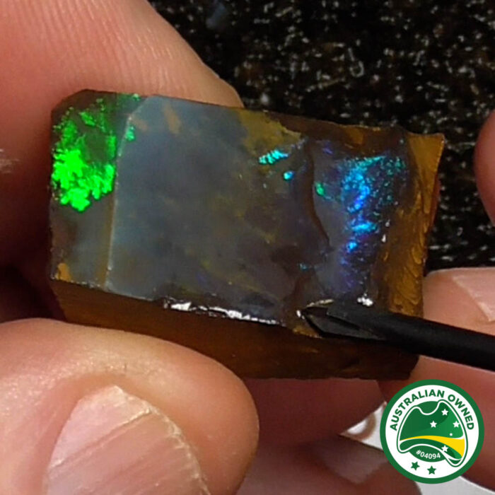 Boulder Opal Single Rough - Ro2998 - Image 8