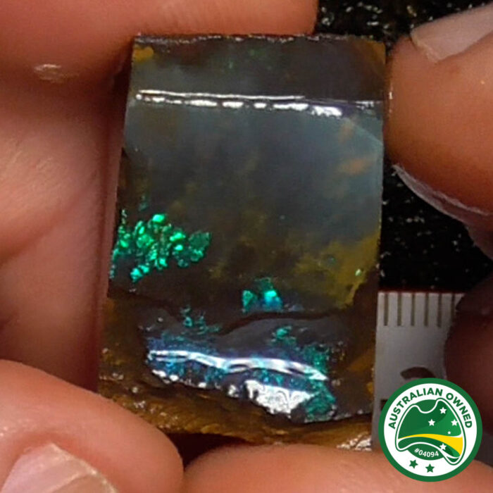 Boulder Opal Single Rough - Ro2998 - Image 6