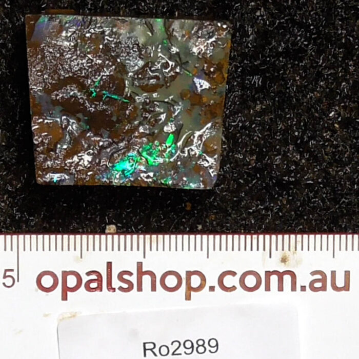 Boulder Opal Single Rough - Ro2989