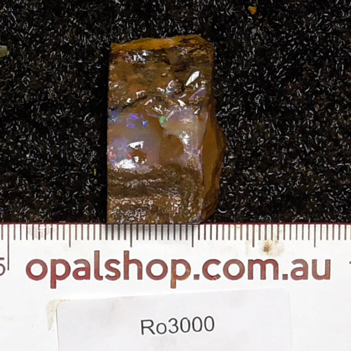 Boulder Opal Single Rough - Ro3000
