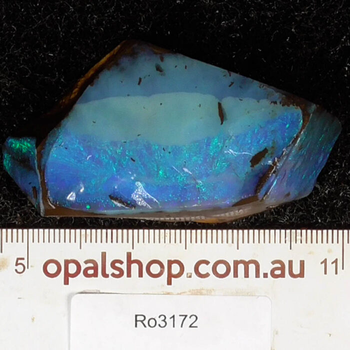 Boulder Opal Single Rough - Ro3172