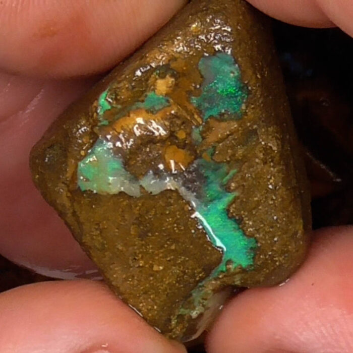 Boulder Opal Rough Parcel - Ro4513 - Image 3