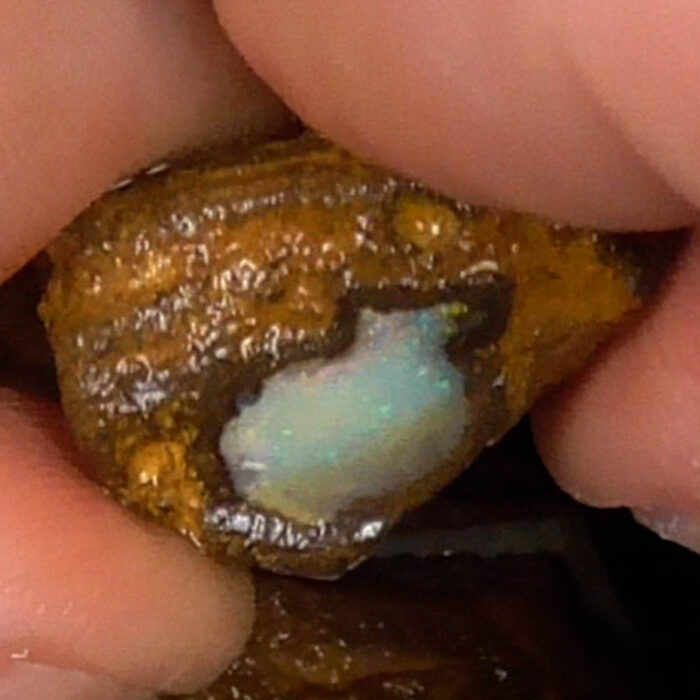 Boulder Opal Rough Parcel - Ro4513 - Image 7