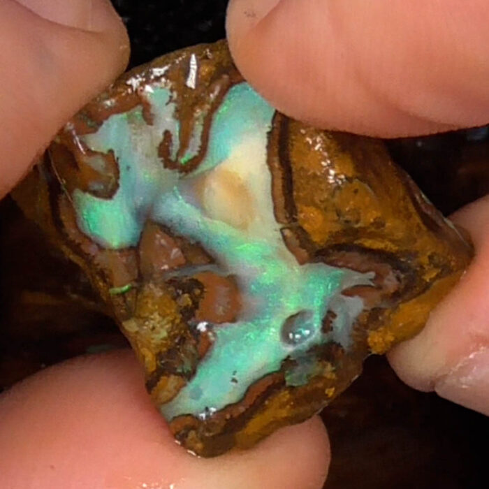 Boulder Opal Rough Parcel - Ro4513 - Image 6