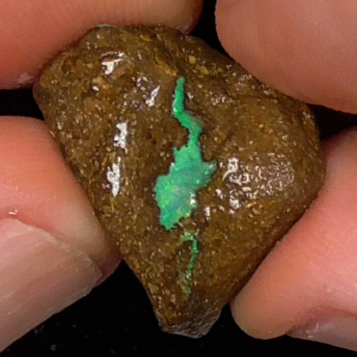 Boulder Opal Rough Parcel - Ro4513 - Image 5